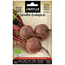 Semillas remolacha detroit ECO