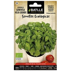 Semillas Albahaca ecológica