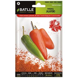 Semillas de Pimiento jalapeño