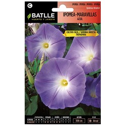 Semillas ipomea azul