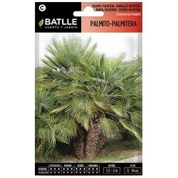Semillas palmito Batlle