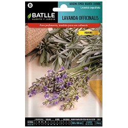 Semillas Lavanda officinalis