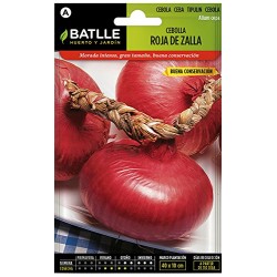 Semillas cebolla roja de zalla