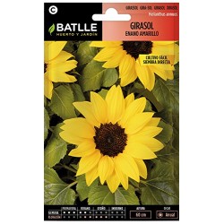 Semillas girasol enano