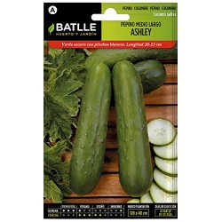 Semillas pepino Ashley