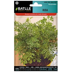 Semillas Ruda aromática
