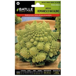 Semillas romanescu brocoli