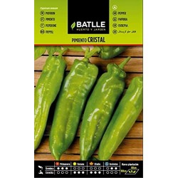 Semillas pimiento cristal