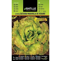 Semillas lechuga maresme