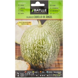 Semillas calabaza pastelera