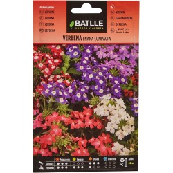 Semillas de verbena enana