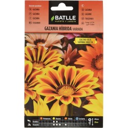Semillas de gazania hibrida