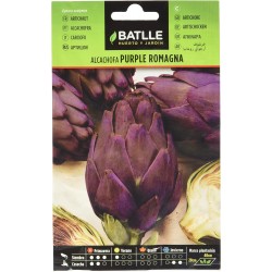 Semillas de alcachofa purple