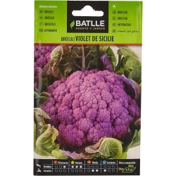 Semillas de bróculi violet