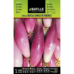 Semillas de cebolla rosa lung