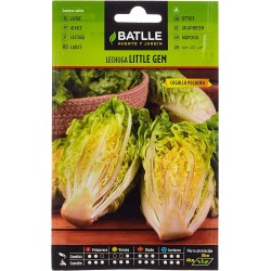 Semillas de lechuga little gem
