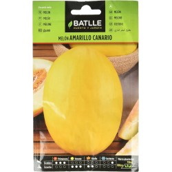 Semillas de melón amarillo