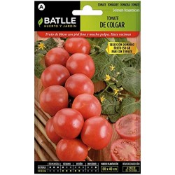 Semillas tomate de colgar