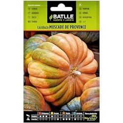 Semillas calabaza muscade