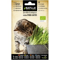 Semillas hierba para gatos eco
