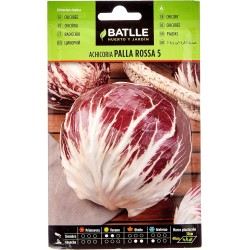 Semillas achicoria palla rosa
