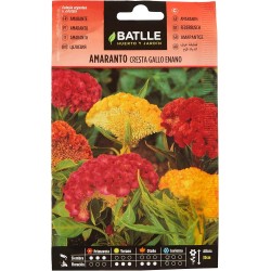 Semillas de amaranto gallo