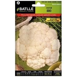 Semillas de coliflor brio