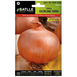 Semillas cebolla fallera