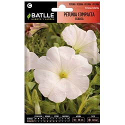 Semillas de petunia blanca