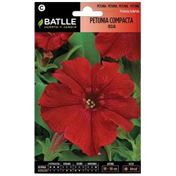 Semillas de Petunia rojo...