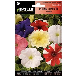 Semillas de petunia compacta