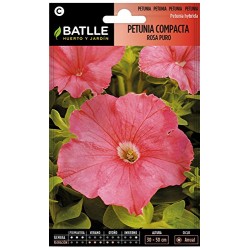 Semillas Petunia compacta rosa