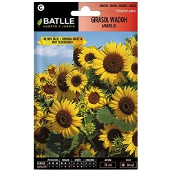 Semillas de Girasol Waooh