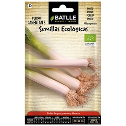 Semillas Puerro carentan Eco