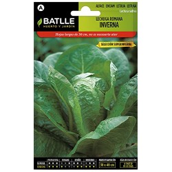 Semillas lechuga inverna