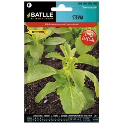 Semillas de Stevia Batlle