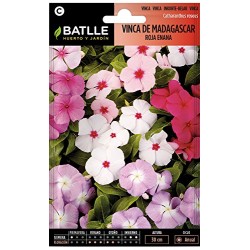 Semillas vinca de madagascar
