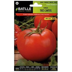 Semillas Tomate Tres Cantos
